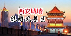被屌操了中国陕西-西安城墙旅游风景区
